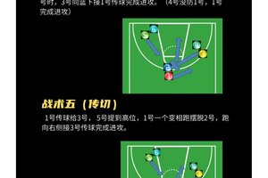 冠军篮球经理2的战术训练